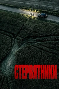 постер фильма Стервятники